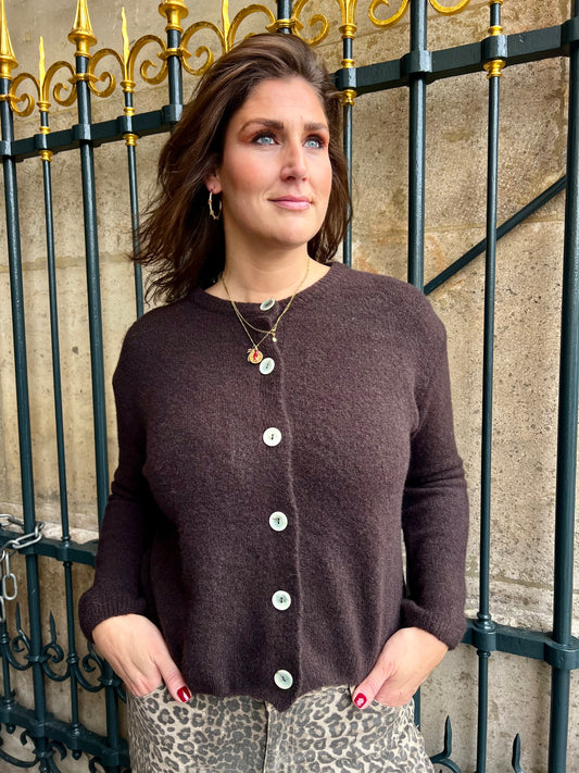 Lonneke cardigan brown